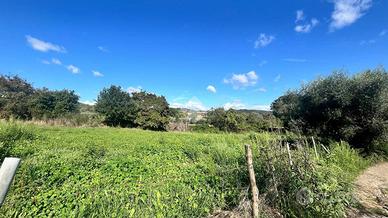 TER. RESIDENZIALE A TREVIGNANO ROMANO