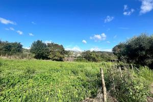 TER. RESIDENZIALE A TREVIGNANO ROMANO