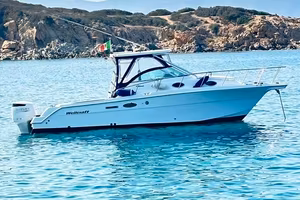 Wellcraft coastal 290 300 suzuki Imm. realizz