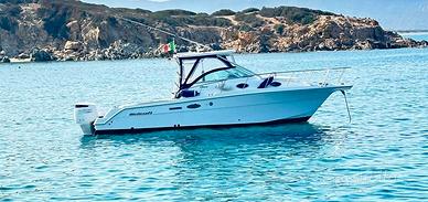 Wellcraft coastal 290 300 suzuki Imm. realizz