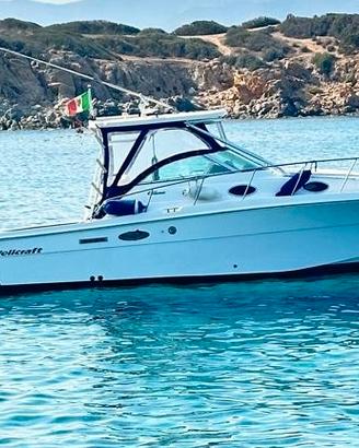 Wellcraft coastal 290 300 suzuki Imm. realizz