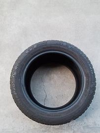 pneumatico gt radial winter pro 2 205/55 R16 -91H