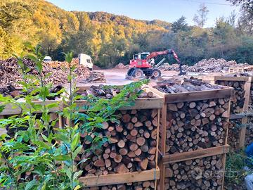 LEGNA DI QUERCA IN BANCALI