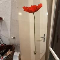 Porta da interno 70x210