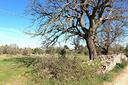 terreno-di-2184-m²-a-santeramo-in-colle