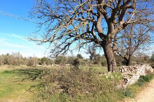 Terreno di 2184 m² a Santeramo in Colle