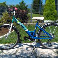 Bicicletta bambina 6-10 anni