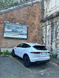Jaguar e pace