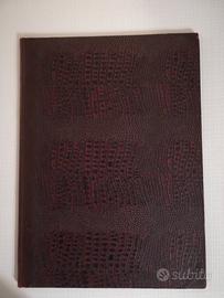 Raccolta giornale Liberazione di Napoli 1860-1910