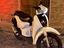Immagine 2