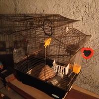 gabbia uccellini accessoriata