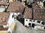 Immagine 26