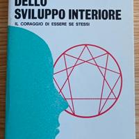 Libro Strategia dello sviluppo interiore Hinterhub