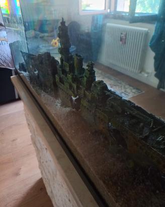acquario 