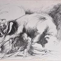 Quadro Augusto Mirer