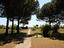 Immagine 19