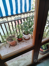 Appartamento a Monteroni di Lecce