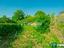 Immagine 14