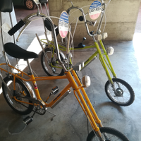 Bici chooper Easy Rider gios