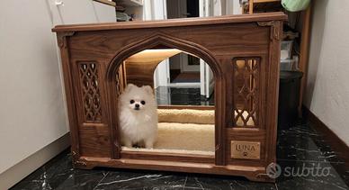 Spitz Di Pomerania