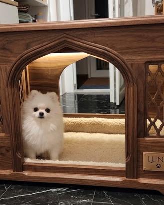Spitz Di Pomerania