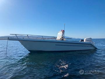Fisherman 20 Johnson 115cv Mercury 15cv
