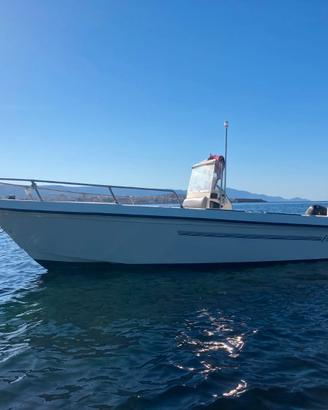 Fisherman 20 Johnson 115cv Mercury 15cv