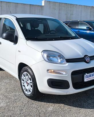 Fiat Panda 1.2 Easy 69 CV 2019