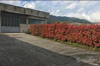 Laboratorio - deposito