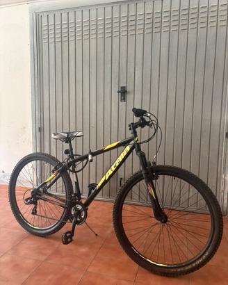 Bicicletta Mountain bike
