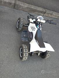 Quad elettrico