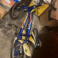 Bicicletta Olmo cerchio 8