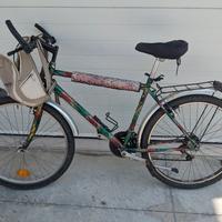 Bici mtb motor veneta