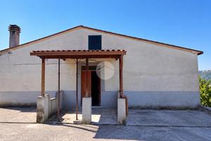 CASA INDIPENDENTE A PALIANO