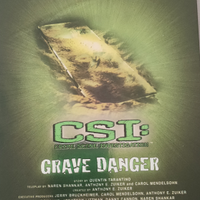 DVD CSI Grave Danger