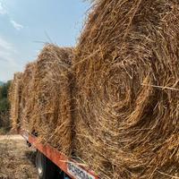 ROTOBALLE    DI    FIENO