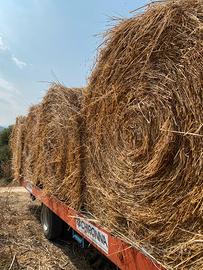 ROTOBALLE    DI    FIENO