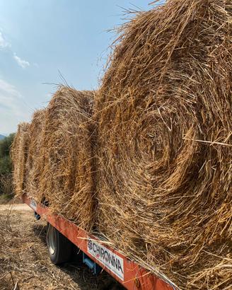 ROTOBALLE    DI    FIENO