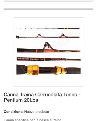 Canne da traina
