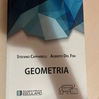 Libro di Geometria universitario