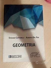 Libro di Geometria universitario