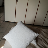 Coppia cuscini arredamento