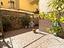 Immagine 13