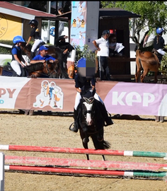 Super pony disponibile per fide