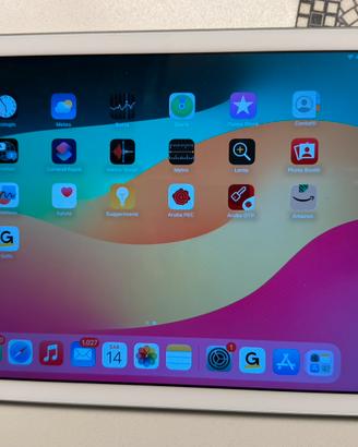 Apple iPad 32 gb wifi/cellular - 6’ generazione