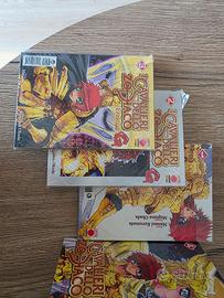 I Cavalieri dello Zodiaco – Episode G