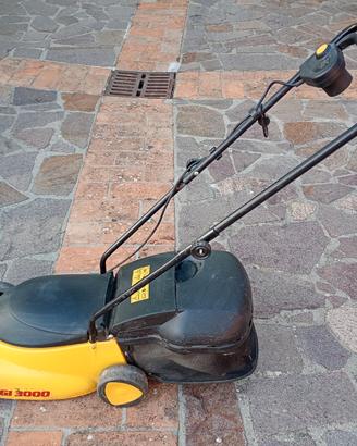 Tagliaerba elettrico