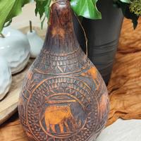 zucca africana decorativa