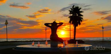 A m.100 dal mare appart.bilo, trilo TORTORETO LIDO