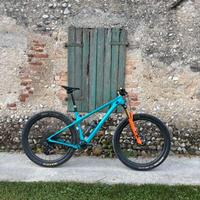 Yeti ARC turq custom